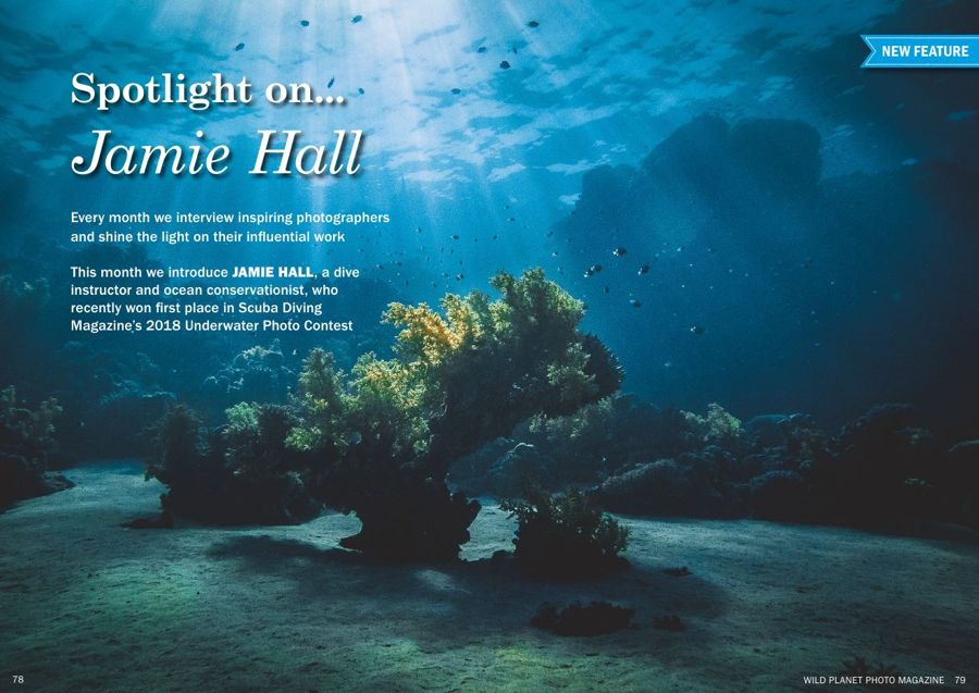 Opening page of the Spotlight on… Jamie Hall article in WildPlanet Photo Magazine